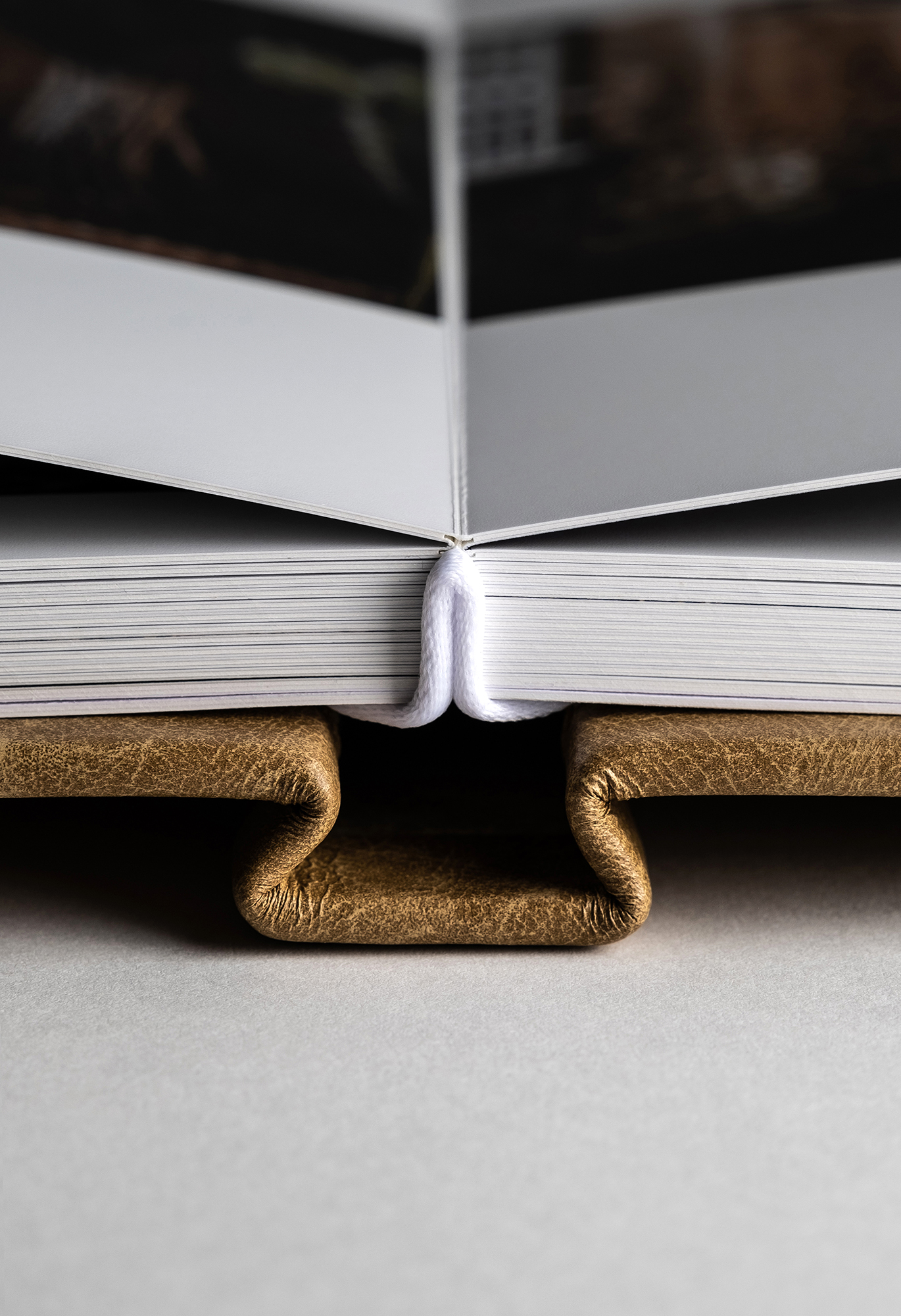 Pages of a luxury wedding album lying flat at the binding